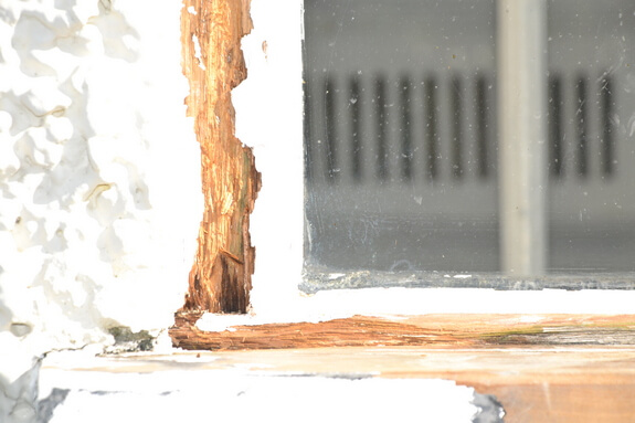 rot in casement window frame 