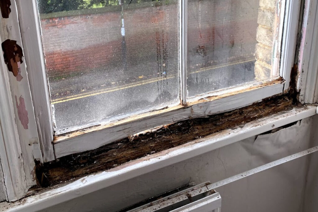 Sash windows restoration Ely