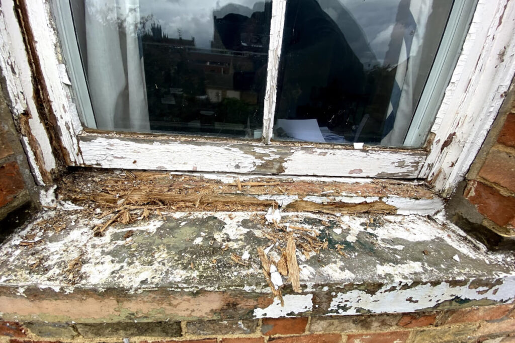 Sash windows restoration Ely