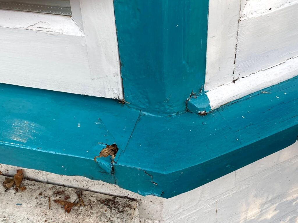 Casement windows before restoration 