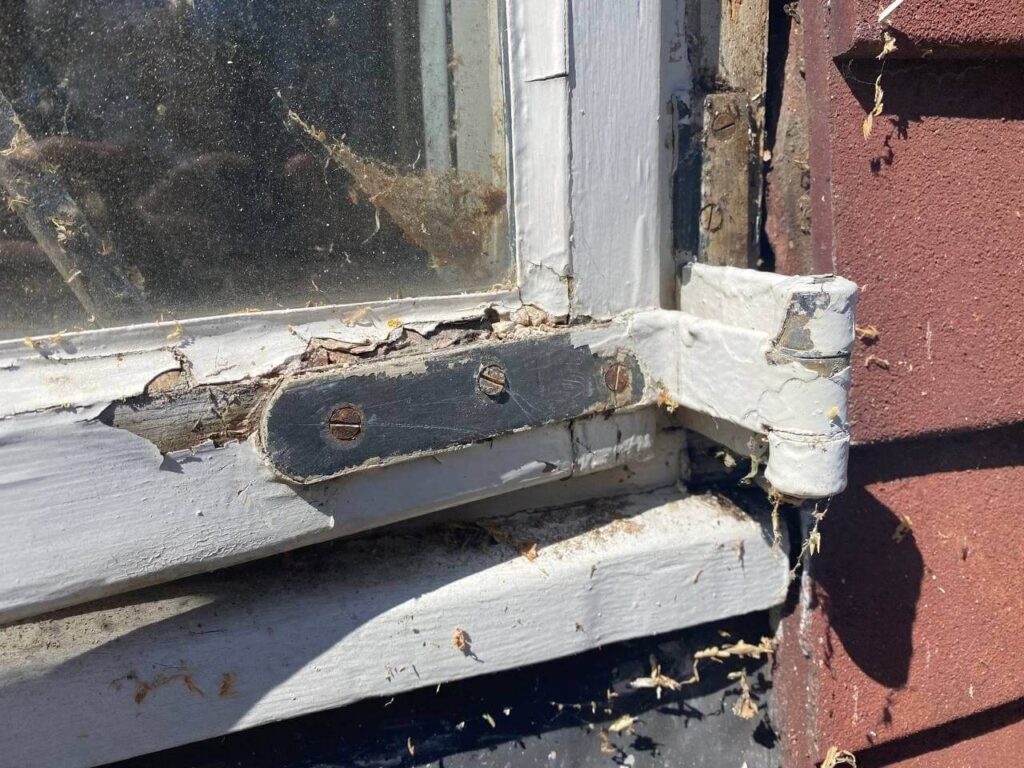 bad window hinges design