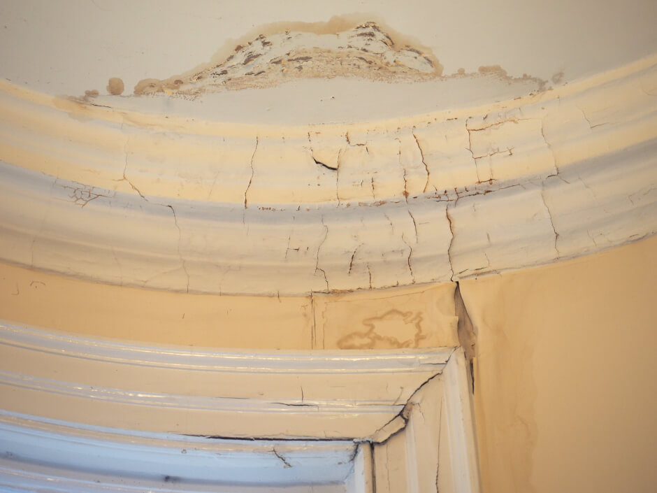 wall coatings prevention of damp