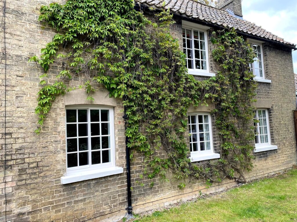 Georgian-Sash-Windows with FINEO glass