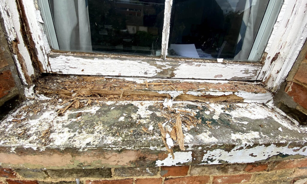 rotted wood: window frame