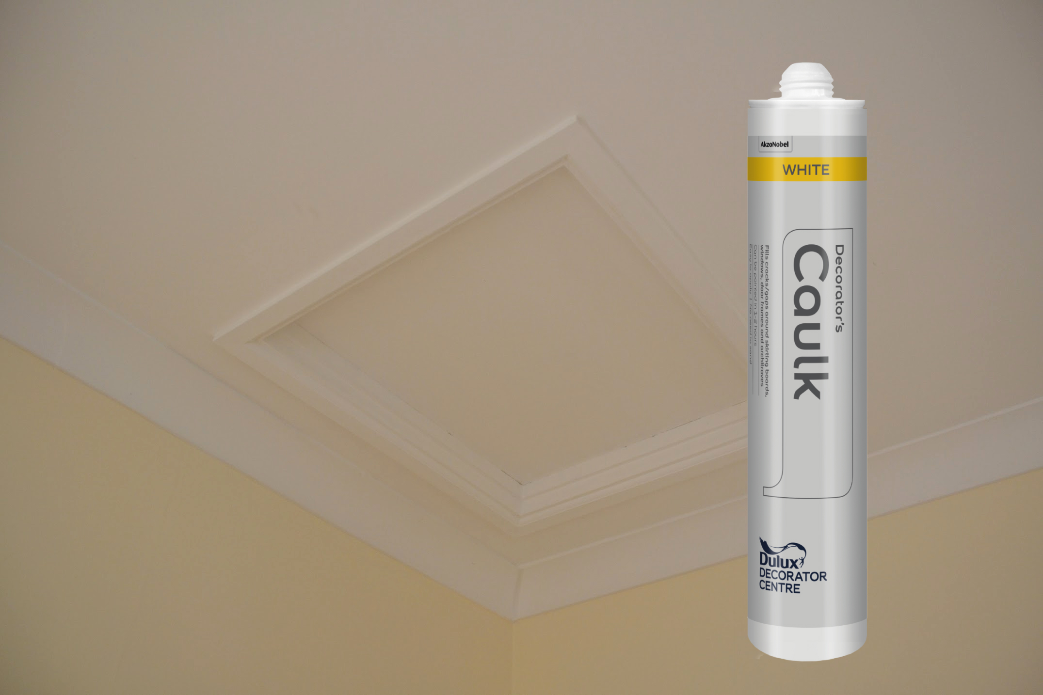 Everything you need to know about decorators caulk