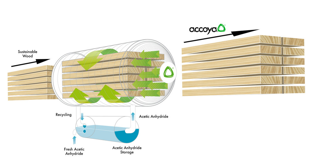 production of Accoya