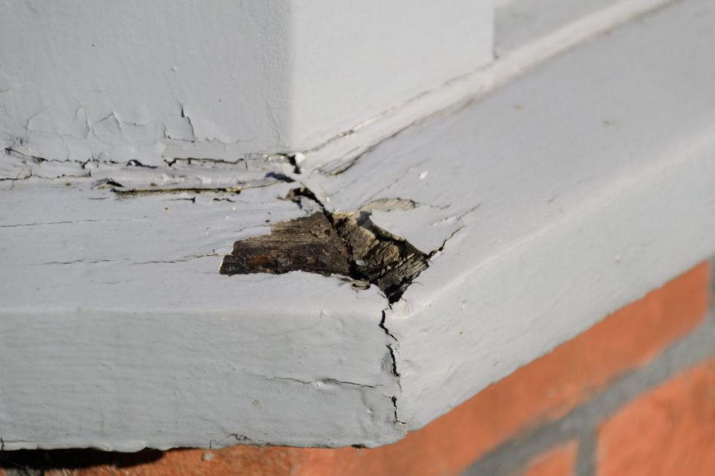 repair rotten window frames