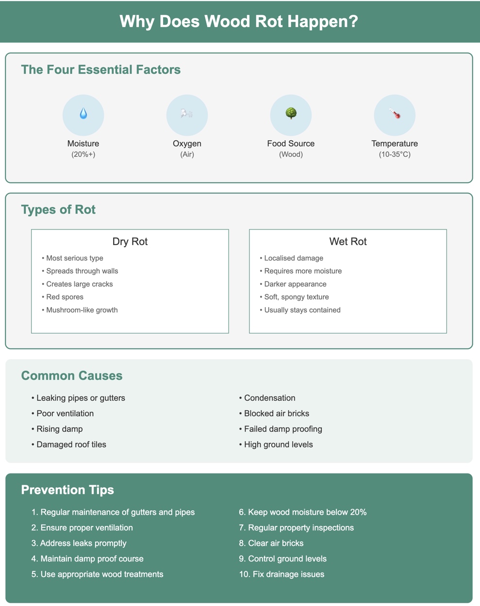Rotten wooden window frames | Why it happens & how to fix it